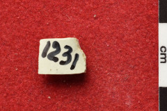 1231s