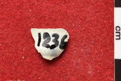 1236s