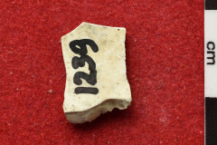 1239s