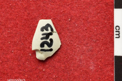 1243s