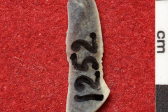 1252s