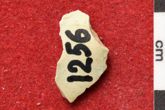 1256s
