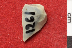 1261s
