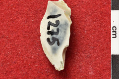 1275s