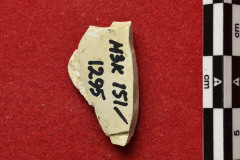 1295s