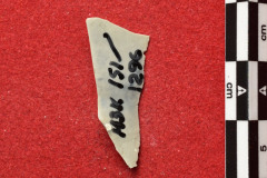 1296s