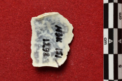 1298s