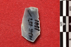 1301s