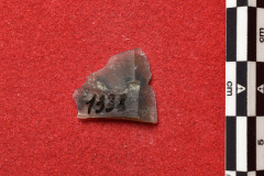 1338s