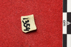 1354s