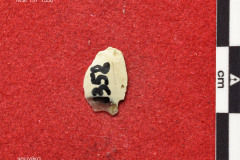 1358s