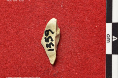 1359s