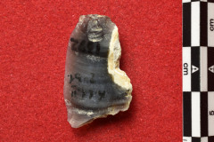 1392s