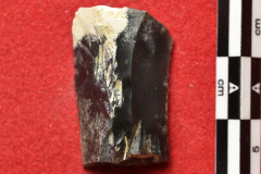 1401s