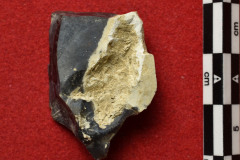 1403s