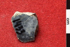 1433s