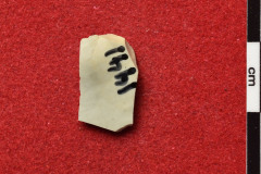 1441s