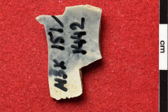 1442s