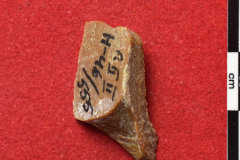 1454s