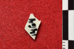 1464s