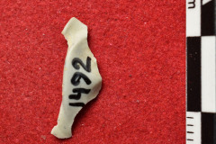 1492s