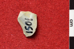 1501s