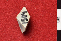 1504s