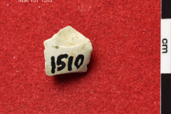 1510s