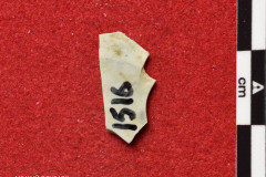 1516s