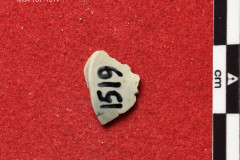 1519s