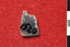 1520s