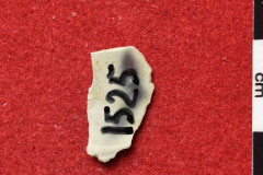 1525s