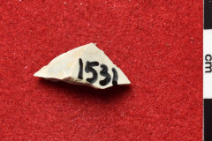 1531s