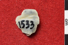 1533s