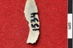 1534s