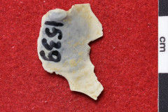 1539s