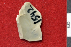 1542s