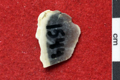 1544s