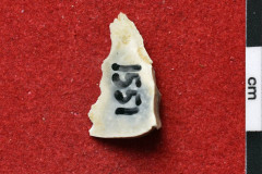 1551s