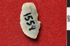 1554s