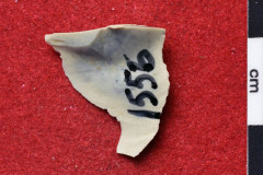 1556s