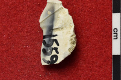 1559s