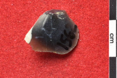 1562s