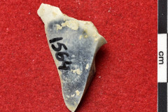 1564s
