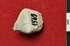1569s