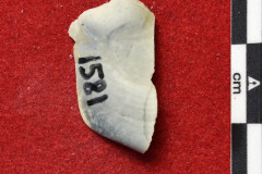 1581s