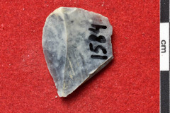 1584s
