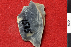 1585s