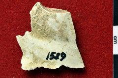 1589s