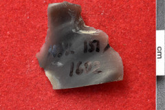1602s